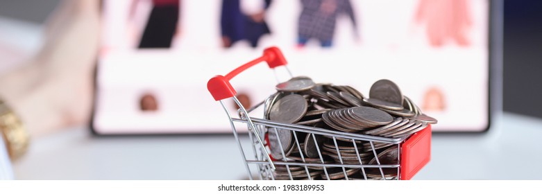 Full basket of coins on background of an online store with goods