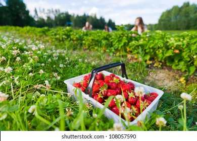 Full basket of strawberries. Focus on basket and group of girls behind, horizontal format - Powered by Shutterstock