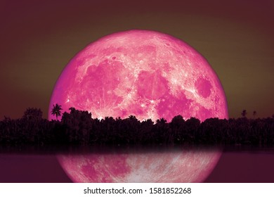 full Beaver Moon back on silhouette tree and reflection on river and night sky, Elements of this image furnished by NASA