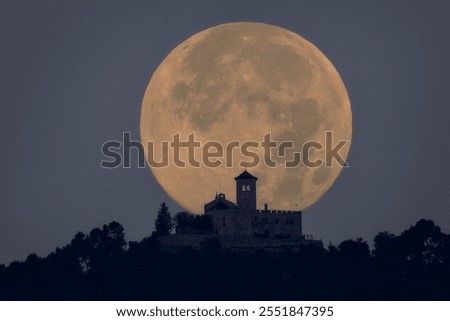 Full beaver moon setting over a 12th century Romanesque sanctuary, in the middle of a forest, surrounded by trees.
