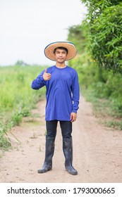 Full Body Of Asian Farmer Man Wear A Blue T-shirt And Hat Standing Thumb Up At The Farm