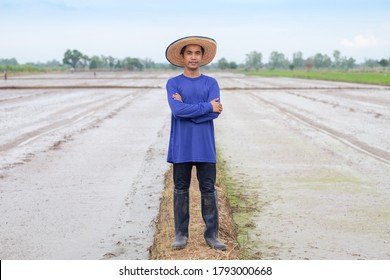 Full Body Of Asian Farmer Man Wear A Blue T-shirt And Hat Standing Looking Rice At The Farm