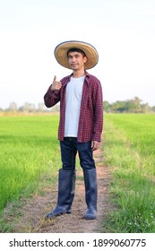 Full Body Of Asian Farmer Man Wear Red Shirt Standing And Thumb Up At Rice Farm