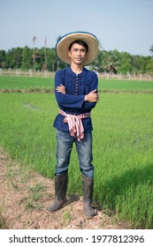 The Full Body Of Asian Farmer Man Wear Traditional Costume Standing And Cross Arms At A Green Rice Farm