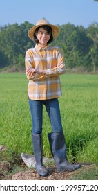 The Full Body Of Asian Farmer Woman Wear Yellow Shirt Standing Nad Cross Arms At Farm