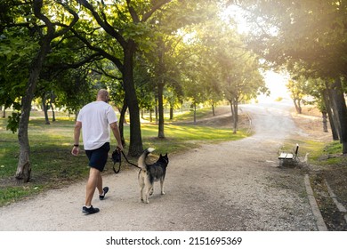 Full body back view of unrecognizable male owner strolling with dog on leash on path in park with trees on summer day