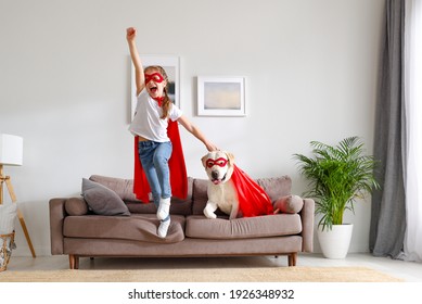 Full body energetic little child girl and cute purebred Labrador retriever dog wearing similar red superhero capes and glasses jumping together from sofa while playing at home