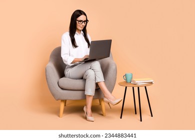 Full body photo of elegant company ceo lady sit cozy chair use netbook networking isolated on beige color background