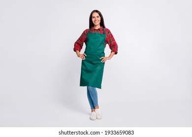 Full body photo of happy attractive young woman hold hands waist wear green apron isolated on grey color background