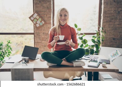 Full Body Photo Of Happy Positive Woman Company Owner Sit On Table Crossed Legs Rest Relax Hold Coffee Cup Drink Cappuccino Wear Red Turtleneck Green Pants Trousers In Messy Office Loft