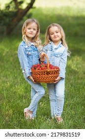 Full Body Portrait Of Cute Kids In Fashion Denim Clothes Holding Wicker Basket Full Of Big Fresh Strawberries In Garden