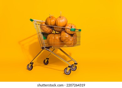 Full Body Portrait Of Supermarket Trolley Full Pile Stack Pumpkin Isolated On Yellow Color Background