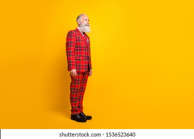 Full Body Profile Photo Of Grandpa Guy White Beard Groom Man At Bachelor Stag Party Listen Toast Seriously Wear Red Blazer Tie Pants Suit Isolated Yellow Color Background