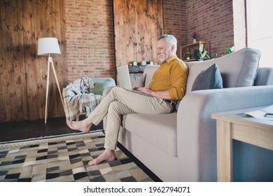 Full body profile portrait of cheerful aged man sit on sofa look laptop toothy smile typing massage home indoors