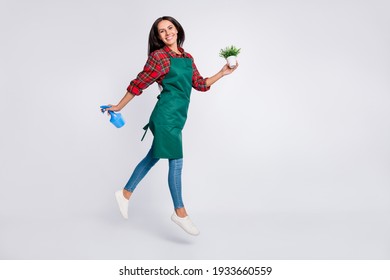 Full Body Profile Side Photo Of Brunette Young Woman Wear Jeans Hold Plant Pulverizer Isolated On Grey Color Background