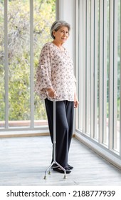 Full Body Shot Asian Old Senior Happy Healthy Gray Hair Female Retired Pensioner In Casual Wear Standing Smiling In Hospital Hallway With Glass Windows Using Support Assist Walking Cane Stick Walker.