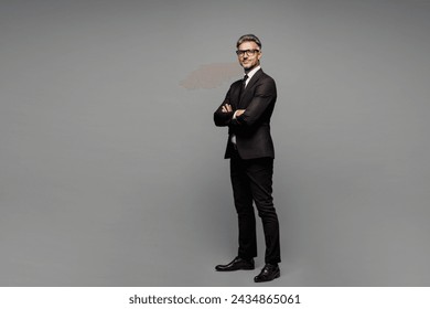 Full body side view fun adult successful employee business man corporate lawyer wear classic formal black suit shirt tie work in office look camera isolated on plain grey background studio portrait - Powered by Shutterstock