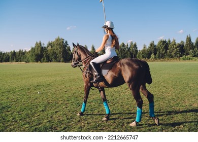 Full Body Side View Of Unrecognizable Female Equestrian In Helmet And Boots Sitting On Saddle While Riding Horse On Grassy Field Under Blue Sky