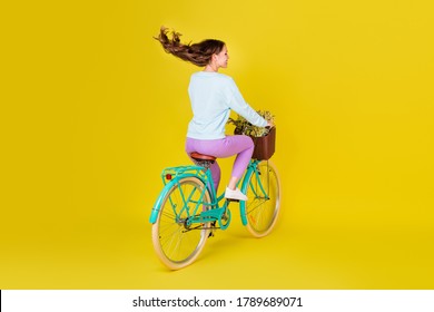 Full Body Size Back Photo Of Cute Funny Student Girl Riding Vintage Bike Go Country Road Carry Flowers Wind Blow Hair Wear Blue Pullover Violet Pants Isolated Bright Yellow Color Background