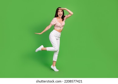 Full Body Size Photo Young Attractive Stock Photo 2208577421 | Shutterstock