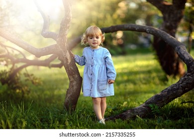 Full Body View Portrait Small Girl In Blue Jeans Dress, Smiling And Looking To Camera, Walking Among Curved Weird Trees. Summer Time, Sunshine Rays. Family Outdoor Time