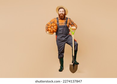 Full body young happy fun young bearded man wearing straw hat overalls work in garden hold pumpkin shovel isolated on plain pastel light beige color background studio portrait. Plant caring concept - Powered by Shutterstock