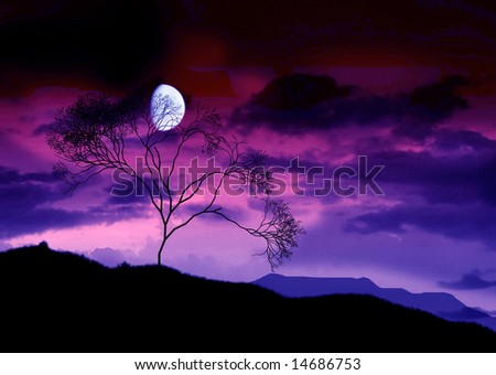 The full bright moon.