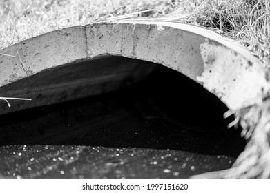 Full Capacity Concrete Culvert With Sheen Contaminated Storm Water Runoff