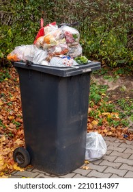 Full Dumpster With Garbage Bags