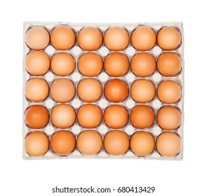 Full egg tray isolated on white background close-up, top view
