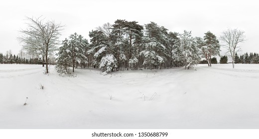  Full equirectangular projection. 3D spherical panorama of winter forest with snow and pines with 360 degree viewing angle. Ready for virtual reality in vr. Beautiful background.