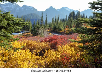 Full Of Fall Colors To Winter Transition Displayed At Mount Rainier National Park, Seattle Washington