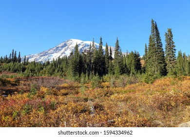 Full Fall Colors Winter Transition Displayed Stock Photo (Edit Now ...