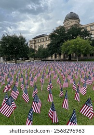 full field tiny american flags 
