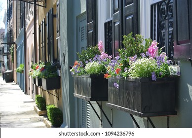 2,056 Flowers rainbow row Images, Stock Photos & Vectors | Shutterstock