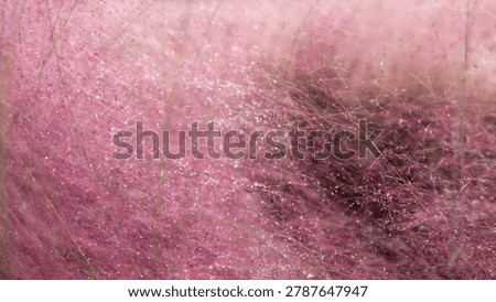 Full frame abstract background of selective focused pink muhly grass texture with glistening morning dewdrops