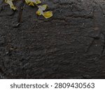 Full frame abstract background texture of charred black burnt wood or rock.