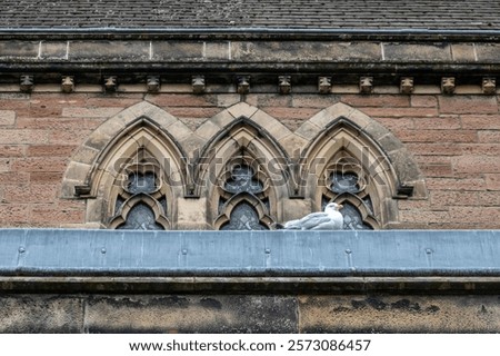 Full frame abstract texture background of an old red brick church wall with a European herring gull resting on a window ledge