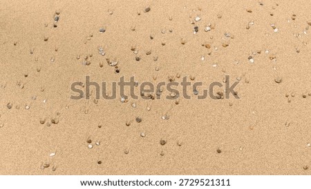 Full frame backdrop seen small colorful pebbles on sandy back