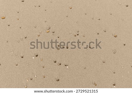 Full frame backdrop seen small colorful pebbles on sandy back