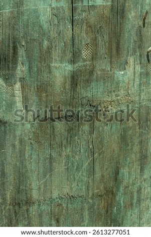 full frame background image of green tanalised treated wood surface