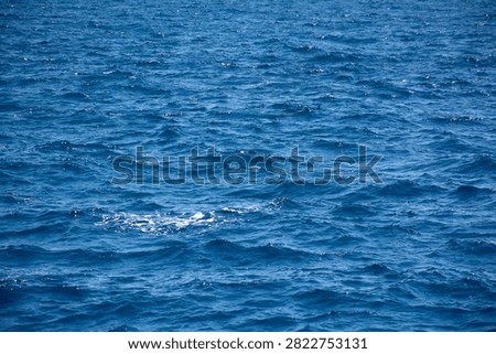Full frame background image of rippled ocean surface with small whitecaps in Canary Islands.