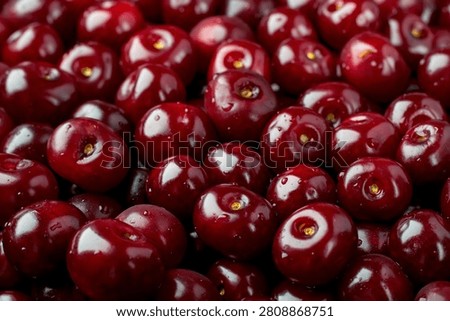 Full frame background of ripe sweet cherries with water drops, fresh organic dark red cherries texture, top view close up.