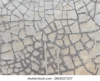 Full frame background texture of a cracked gray cement surface with a detailed crazing pattern. A close-up view of a weathered concrete floor surface showing severe shrinkage cracks and crazing matrix during daytime.