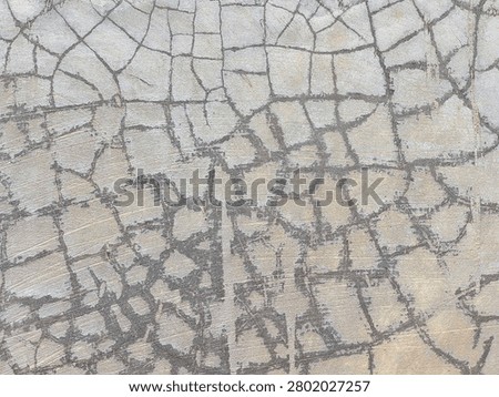 Full frame background texture of a cracked gray cement surface with a detailed crazing pattern. A close-up view of a weathered concrete floor surface showing severe shrinkage cracks and crazing matrix during daytime.