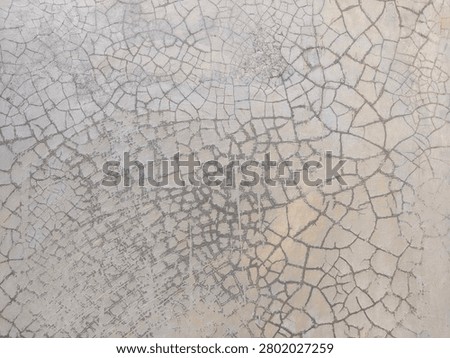 Full frame background texture of a cracked gray cement surface with a detailed crazing pattern. A close-up view of a weathered concrete floor surface showing severe shrinkage cracks and crazing matrix during daytime.