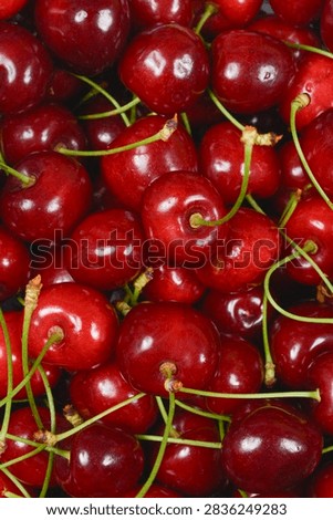 Full frame background texture of a dark red fresh sweet cherries with green stems in a crate.