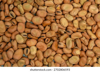 Full frame background texture of dry fava beans (broad beans) in shades of brown and tan. Vegan protein, pulse, and cooking ingredient concept