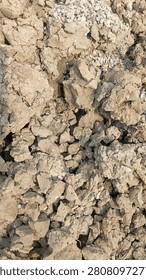 Full frame background texture of dry clod earth soil chunks, natural ground patterns.