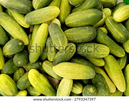 Full frame background texture of a large pile of fresh green cucumbers stacked together at a traditional market or grocery store. High angle shot of healthy, organic, and crisp local vegetables, ideal for nutrition, dieting, and food background concepts